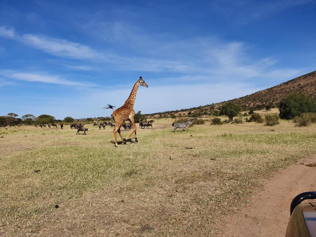 Africa Safari Lake Natron Mtowabaga Εξωτερικό φωτογραφία